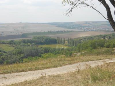 HUSTOPEČE