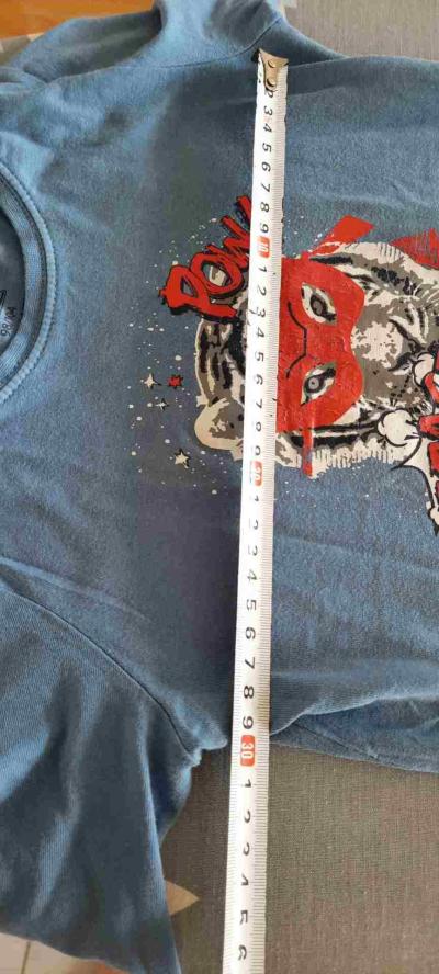 2x chlapecké tričko, značky Lupilu, vel. 98/104