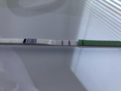 Snažení | Ovulační test Benu