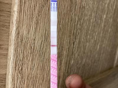 Testování a těhotenský test | Testování listopad 2022