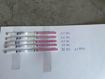 Testování a těhotenský test | 21dpo clearblue 2-3