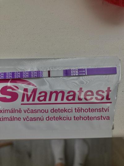 Snažení | Test tehotensky 3 dny do ms