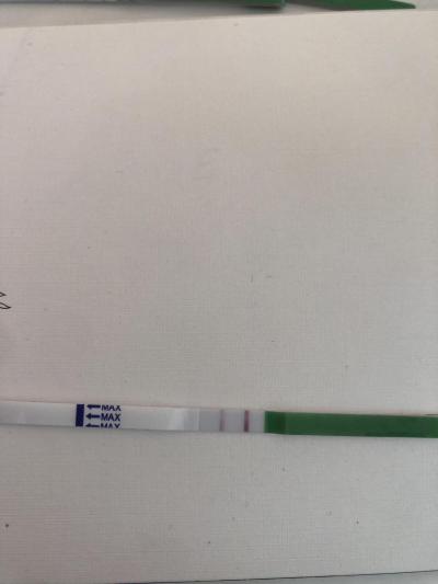 Testování a těhotenský test | Bude ještě ovulace, když už beru Progestron?