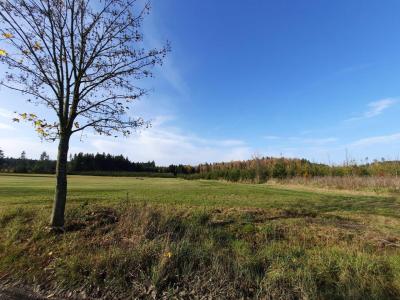 Procházka