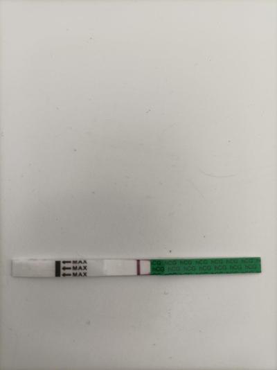Testování a těhotenský test | Je tam duch? 12DPO
