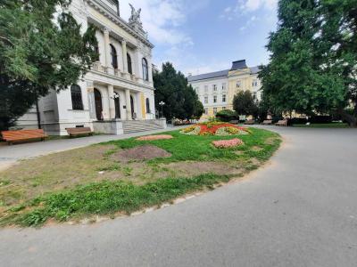 OPAVA