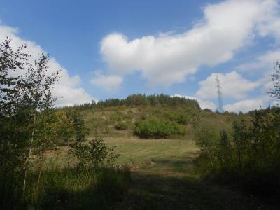 HUSTOPEČE