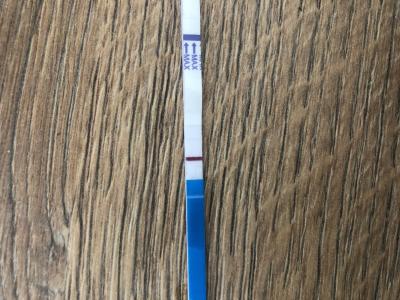 Testování a těhotenský test | Ryska nebo duch? Ráno a teď.