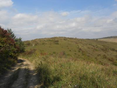 HUSTOPEČE