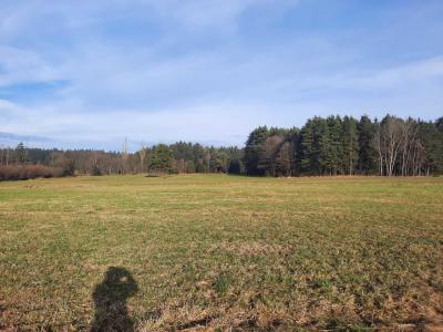 PROCHÁZKA 31.12.2022
