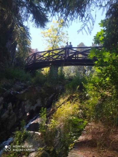 Pruhonicky park