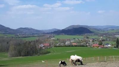 Minizoo ranč Horečky