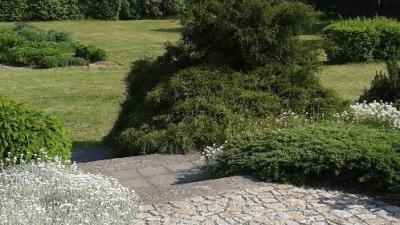 Čestlice Dendrologická zahrada