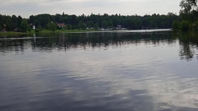 Zvůle