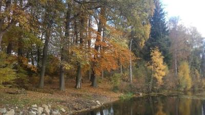 Dolíška