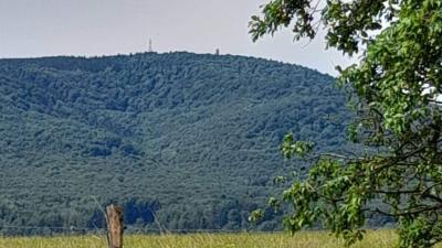 Kelčský Javorník