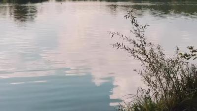 Sadská