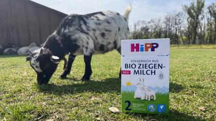 OTESTOVÁNO: Jak miminkům chutnalo HiPP 2 BIO kozí mléko?