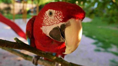 9 tipů, kam vyrazit s dětmi v Královehradeckém kraji