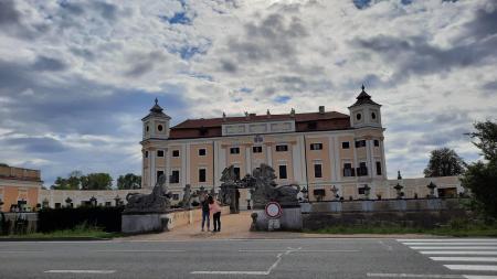 MILOTICE