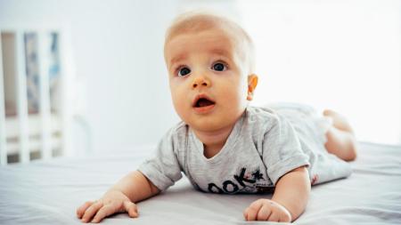 3 tipy, jak na správné pasení koníčků