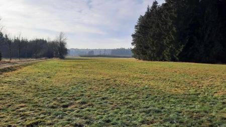 PROCHÁZKA 1.1.2023