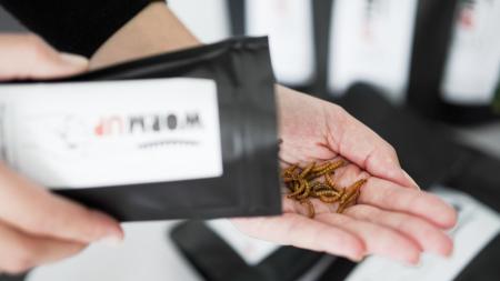 WormUP: Jaké bylo chroupat červíky místo chipsů?