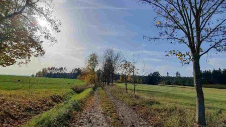 Procházka