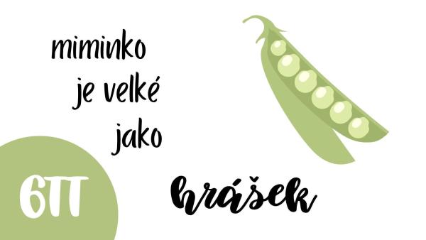 V 6. týdnu těhotenství je miminko velké jako hrášek.