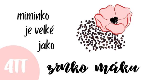Velikost miminka ve 4. týdnu těhotenství.