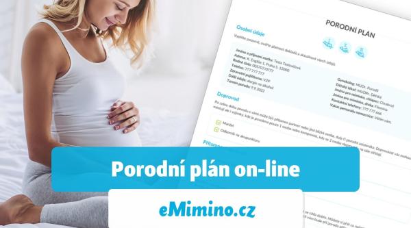 Porodní Plán Emiminocz 5353