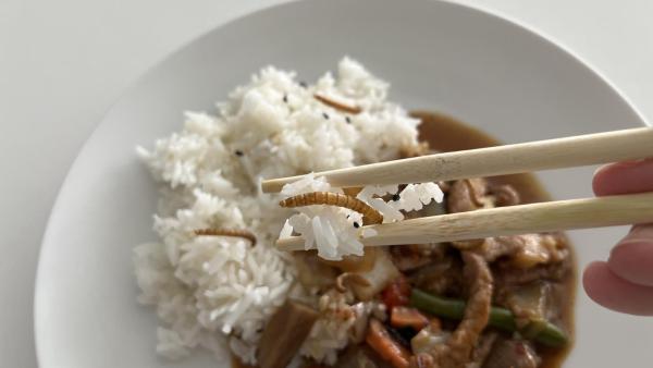 Recept červíci WormUP