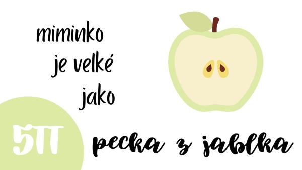 Velikost miminka v 5. týdnu těhotenství.
