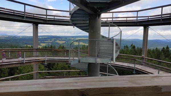 Stezka korunami stromů Lipno