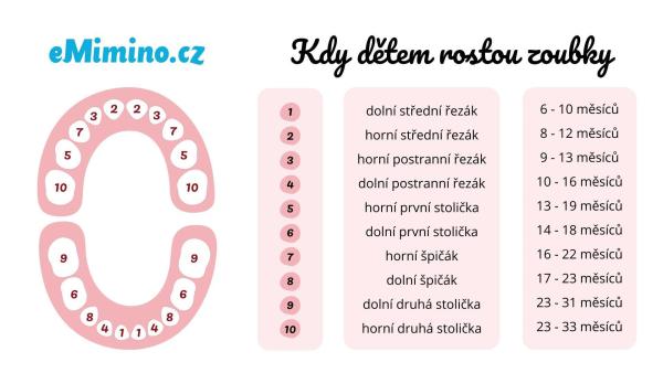 První návštěvu u zubaře je vhodné absolvovat přibližně v jednom roce věku.