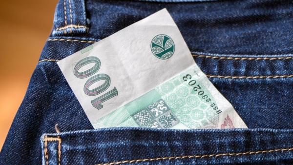 Bankovka v kapsy