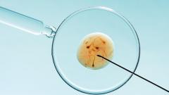 IVF zkušenost