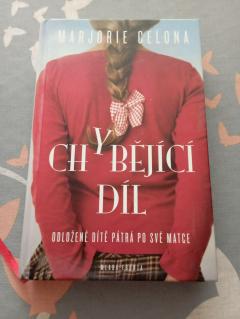 Kniha Chybějící díl