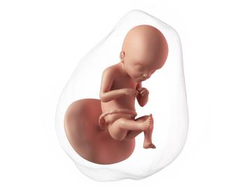 21. týden těhotenství: Vnímá světlo a tmu