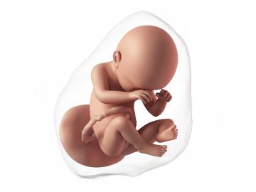 38. týden těhotenství: Jak poznat falešný poplach?