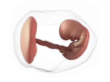 8. týden těhotenství: Jak zvládnout nevolnosti