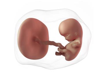 9. týden těhotenství: Těhotenská průkazka