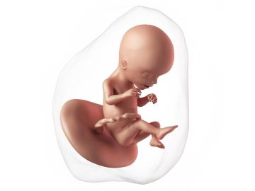 17. týden těhotenství: Jak se mění kůže?