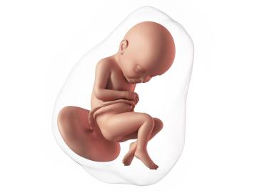 32. týden těhotenství: Začíná mateřská