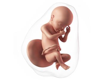 30. týden těhotenství: První mateřské mléko