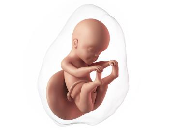 25. týden těhotenství: Jak probíhá test cukrovky?