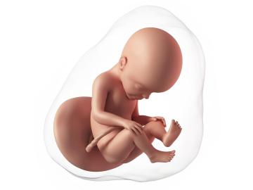 27. týden těhotenství: Jak vybrat porodnici?