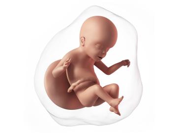 23. týden těhotenství: Proč tvrdne bříško?