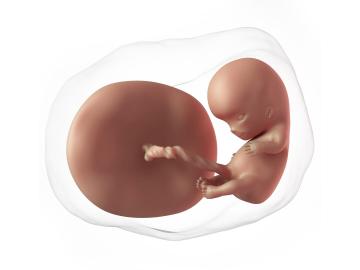 10. týden těhotenství: A zase ta nevolnost