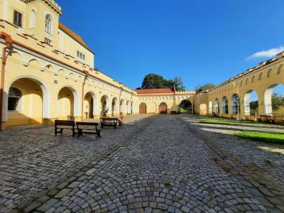 LETOVICE
